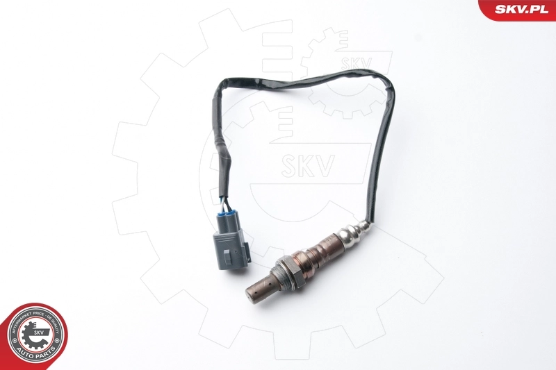 Oxygen Sensor